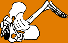 Dem bones dem bones dem – dry bones!