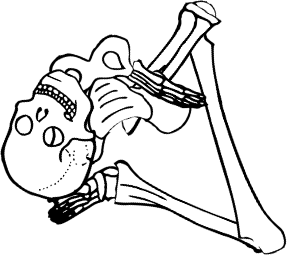 Dem bones dem bones dem – dry bones!