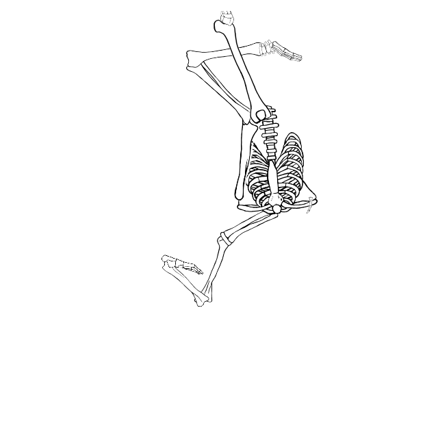 Dem bones dem bones dem – dry bones!