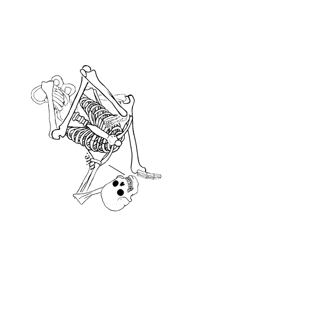 Dem bones dem bones dem – dry bones!