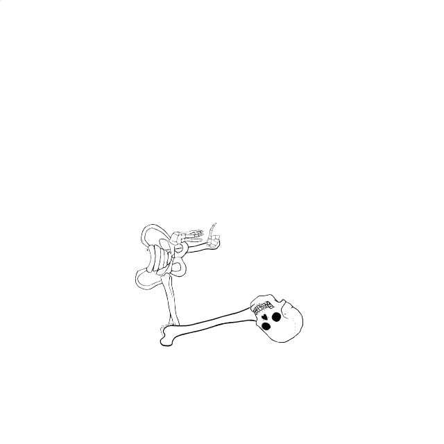 Dem bones dem bones dem – dry bones!