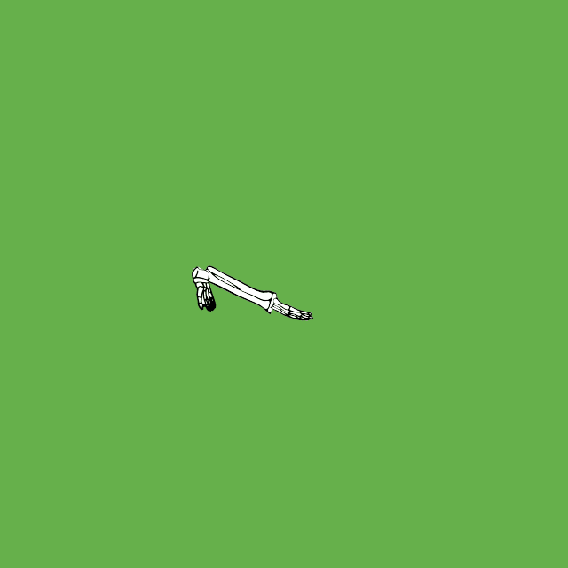 Dem bones dem bones dem – dry bones!