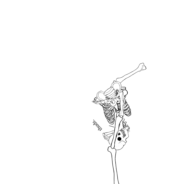 Dem bones dem bones dem – dry bones!