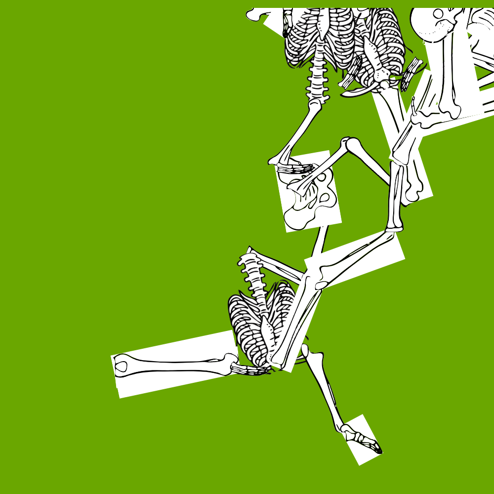Dem bones dem bones dem – dry bones!
