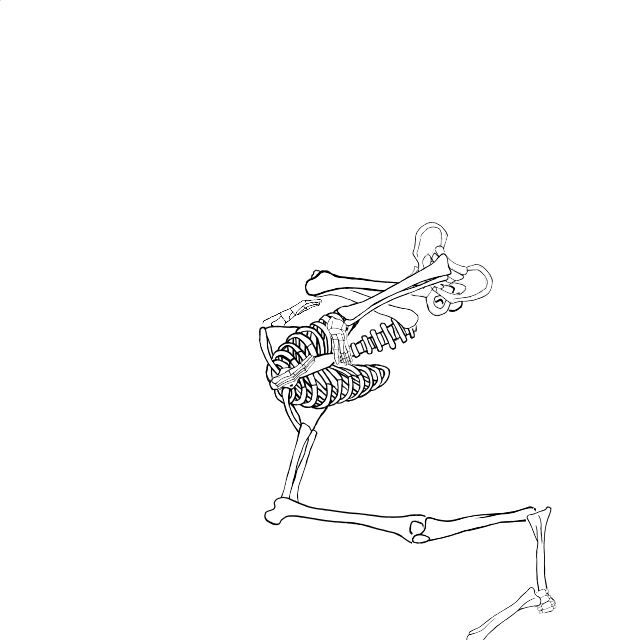 Dem bones dem bones dem – dry bones!
