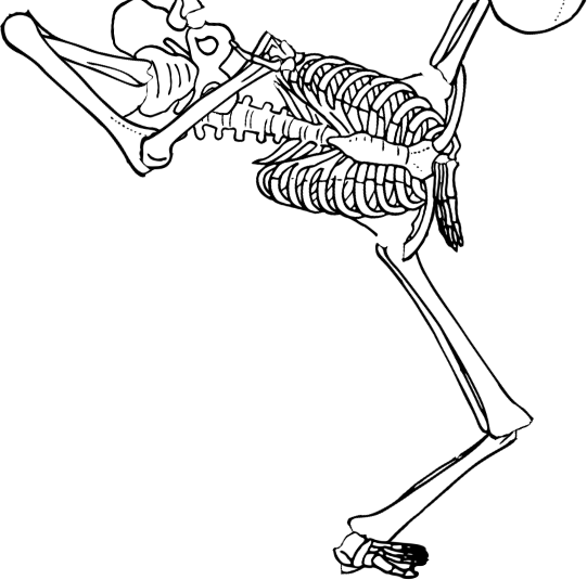Dem bones dem bones dem – dry bones!