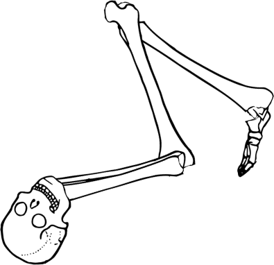 Dem bones dem bones dem – dry bones!