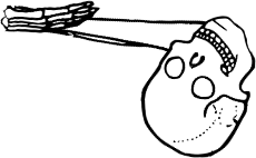 Dem bones dem bones dem – dry bones!