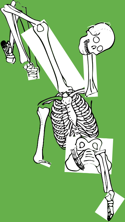 Dem bones dem bones dem – dry bones!