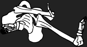 Dem bones dem bones dem – dry bones!