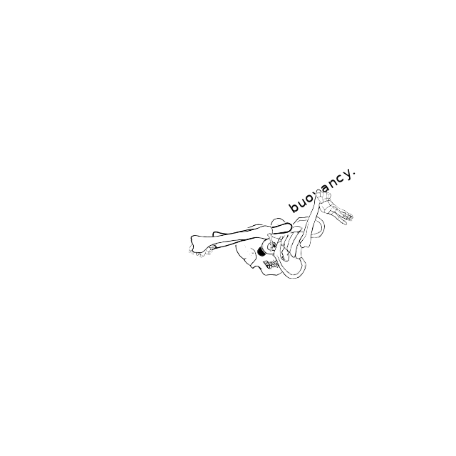 Dem bones dem bones dem – dry bones!