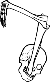 Dem bones dem bones dem – dry bones!