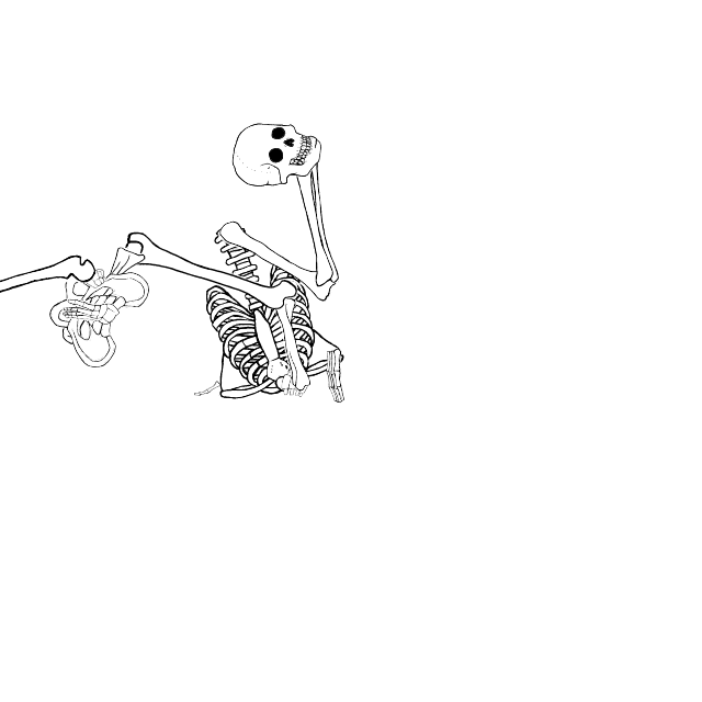 Dem bones dem bones dem – dry bones!