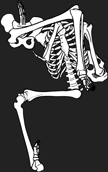 Dem bones dem bones dem – dry bones!