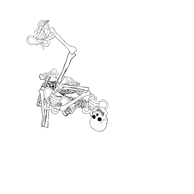 Dem bones dem bones dem – dry bones!