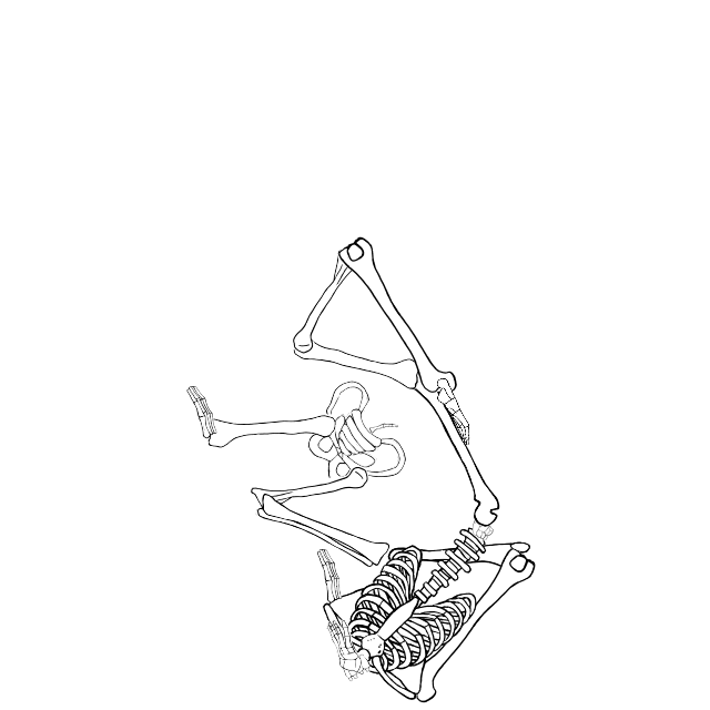 Dem bones dem bones dem – dry bones!