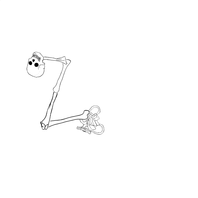 Dem bones dem bones dem – dry bones!