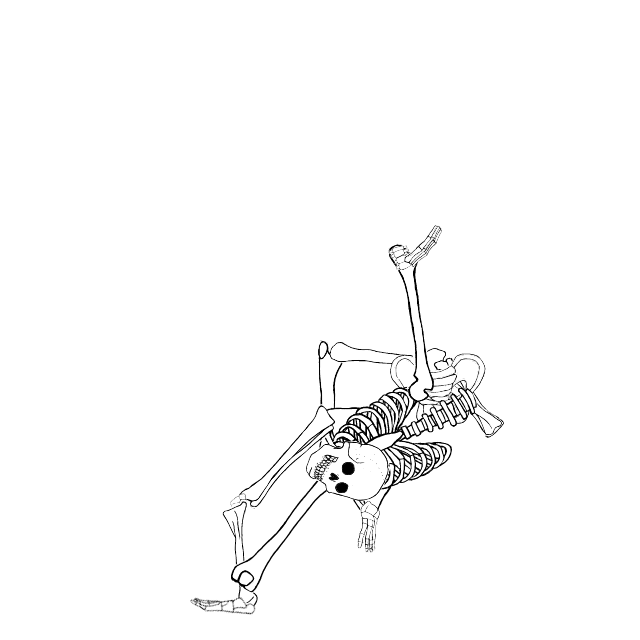 Dem bones dem bones dem – dry bones!