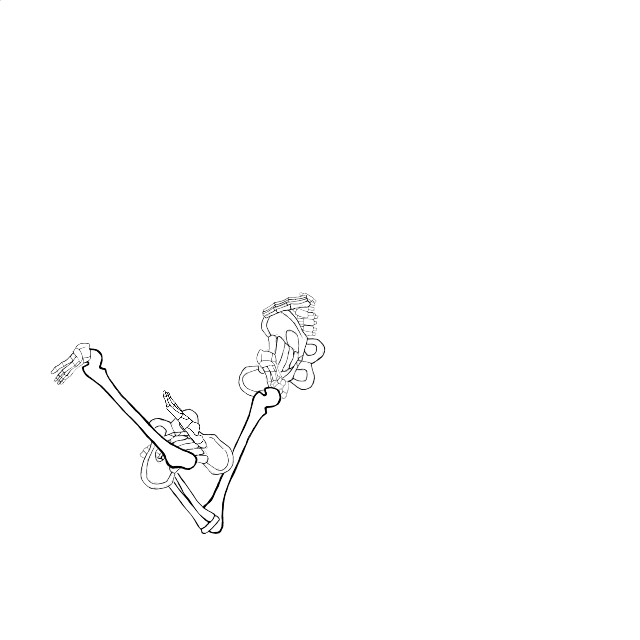 Dem bones dem bones dem – dry bones!
