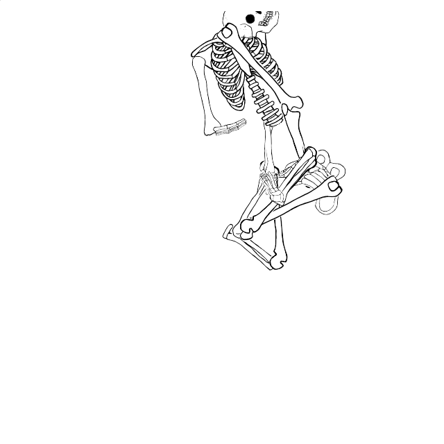 Dem bones dem bones dem – dry bones!
