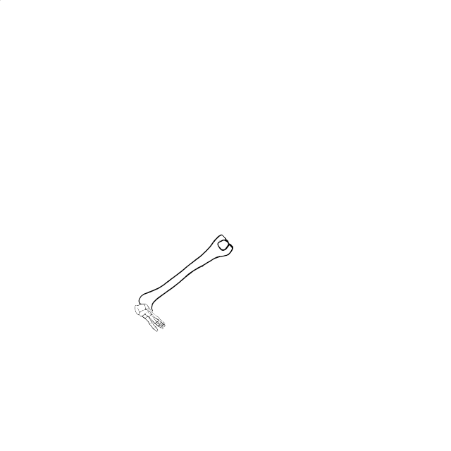 Dem bones dem bones dem – dry bones!