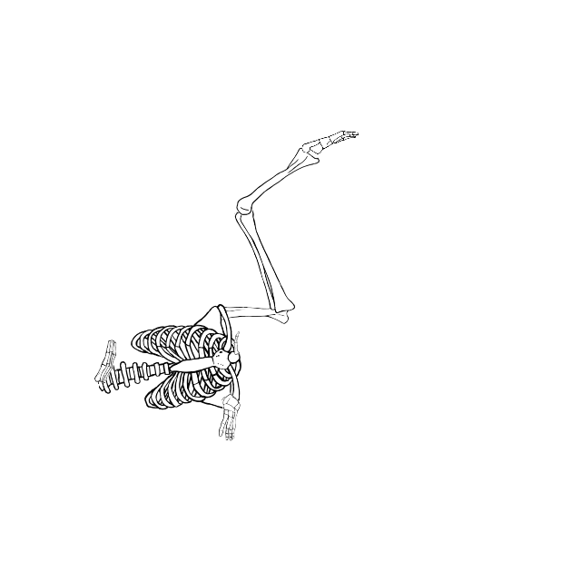 Dem bones dem bones dem – dry bones!