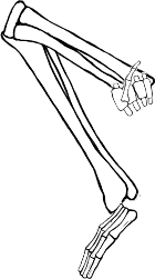 Dem bones dem bones dem – dry bones!