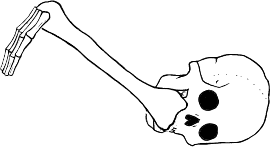 Dem bones dem bones dem – dry bones!