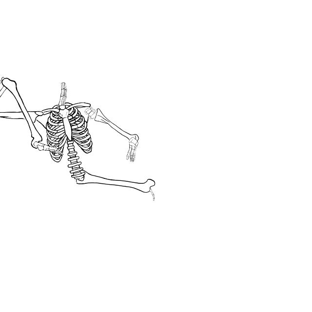 Dem bones dem bones dem – dry bones!
