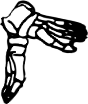 Dem bones dem bones dem – dry bones!
