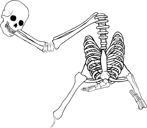 Dem bones dem bones dem – dry bones!