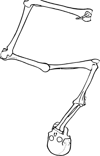 Dem bones dem bones dem – dry bones!