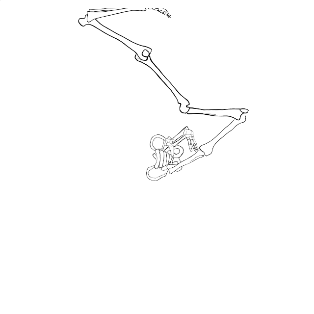 Dem bones dem bones dem – dry bones!