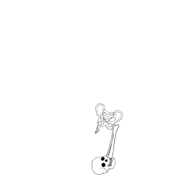 Dem bones dem bones dem – dry bones!