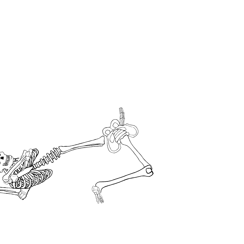Dem bones dem bones dem – dry bones!