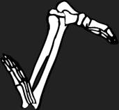Dem bones dem bones dem – dry bones!