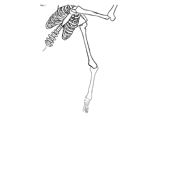Dem bones dem bones dem – dry bones!