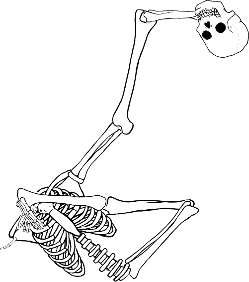 Dem bones dem bones dem – dry bones!