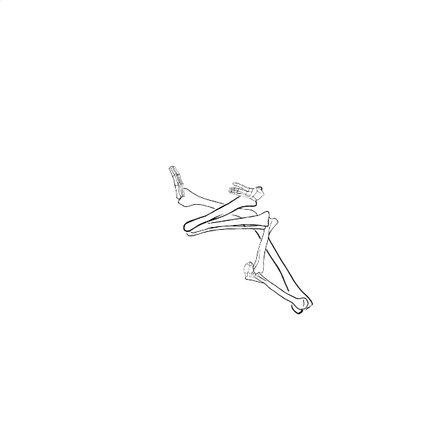 Dem bones dem bones dem – dry bones!