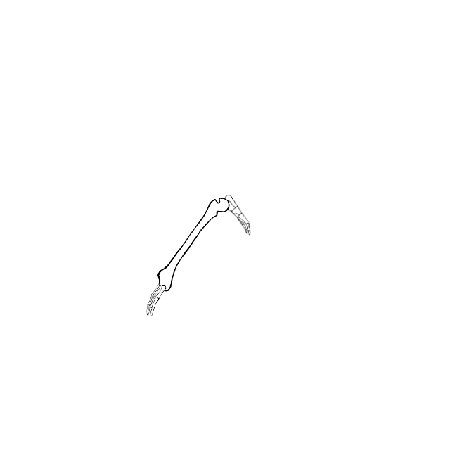 Dem bones dem bones dem – dry bones!