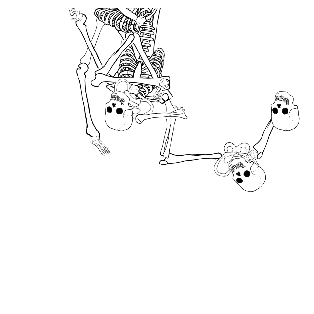 Dem bones dem bones dem – dry bones!