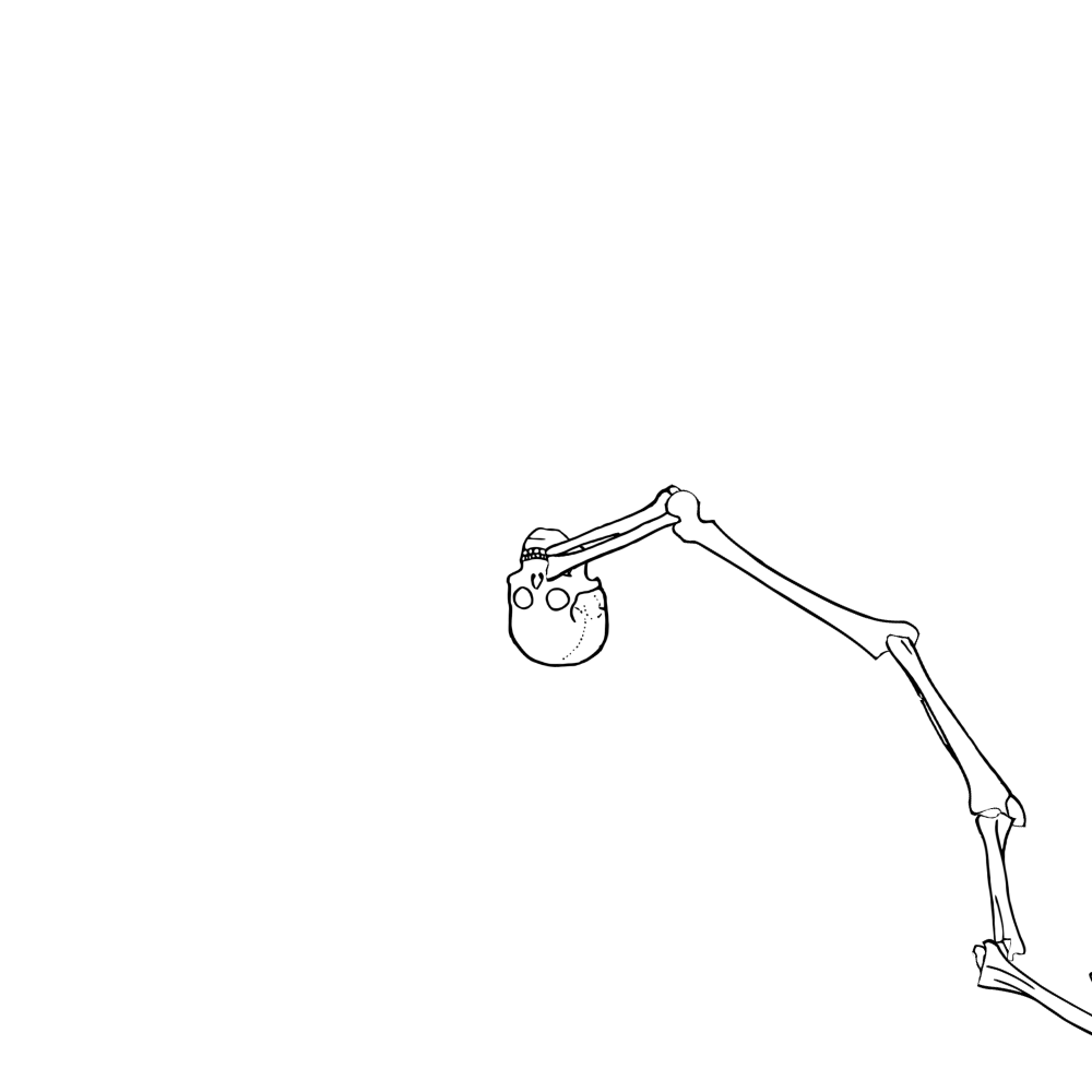Dem bones dem bones dem – dry bones!