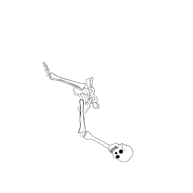 Dem bones dem bones dem – dry bones!