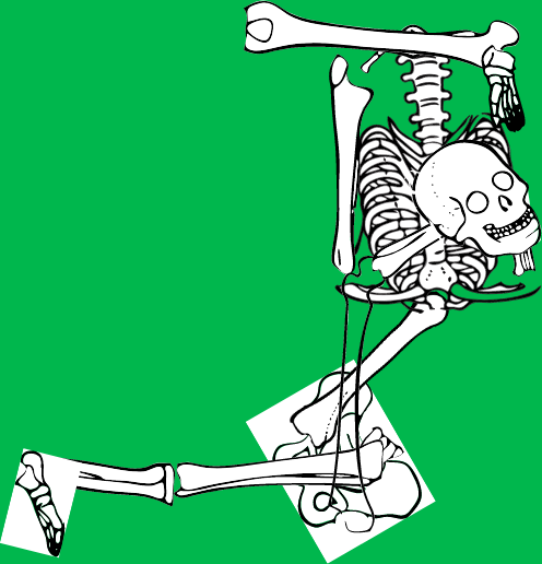 Dem bones dem bones dem – dry bones!