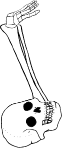 Dem bones dem bones dem – dry bones!