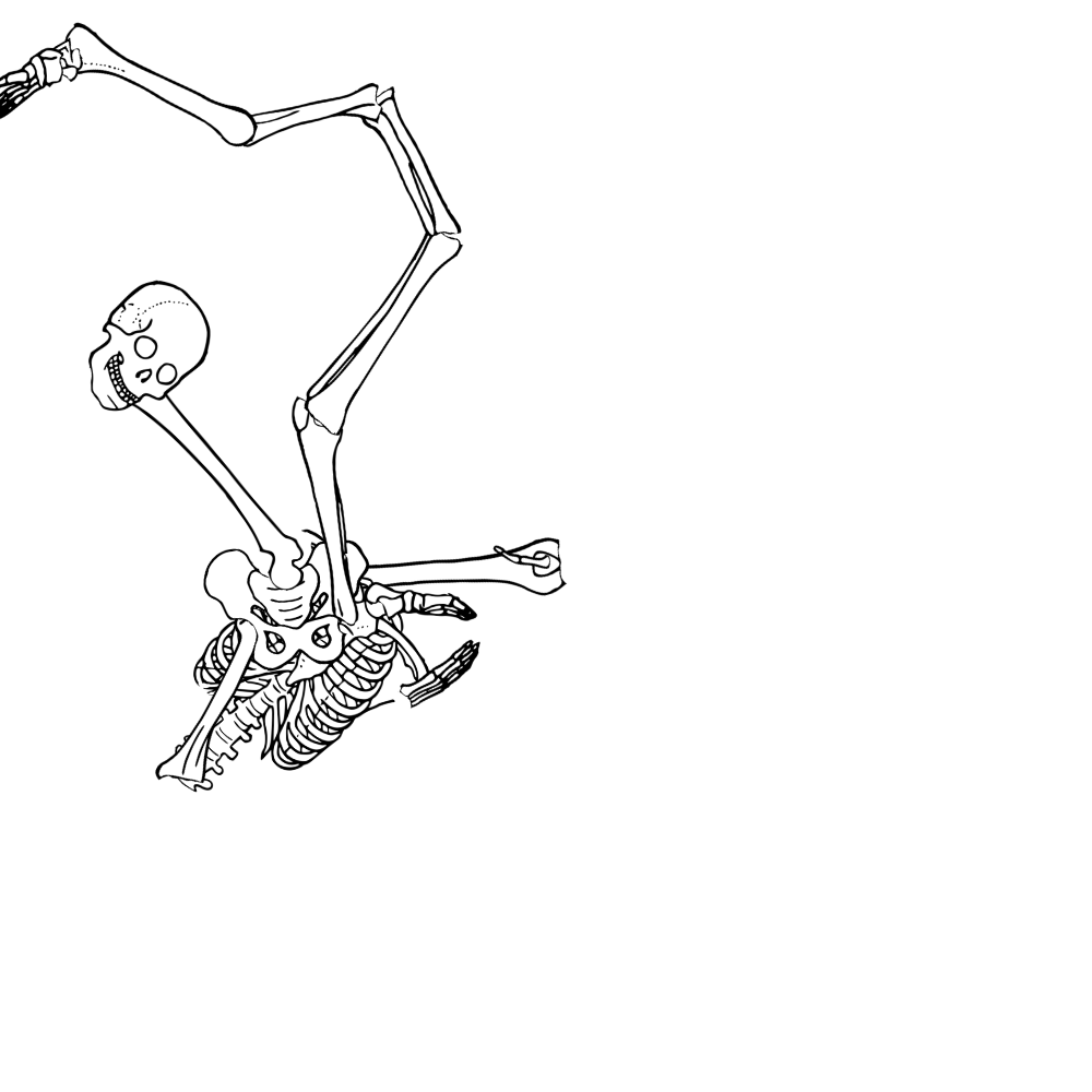 Dem bones dem bones dem – dry bones!