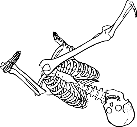 Dem bones dem bones dem – dry bones! Dem bones dem bones dem – extra bones!