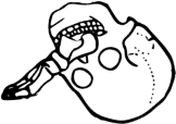 Dem bones dem bones dem – dry bones!