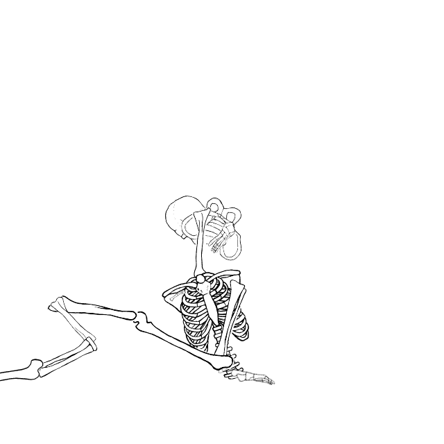 Dem bones dem bones dem – dry bones!