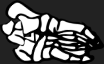 Dem bones dem bones dem – dry bones!